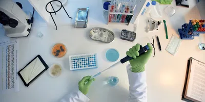 Top view of a laboratory researcher wearing green gloves and using a pipette to transfer liquid at a bench surrounded by other laboratory equipment.