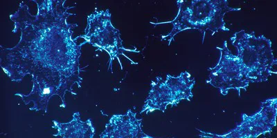 Blue-stained cells under microscope, illustrating molecular glue degraders