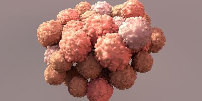 A three-dimensional digital rendering of a dense cellular spheroid, representing a complex biological cell model.