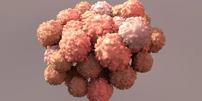 A three-dimensional digital rendering of a dense cellular spheroid, representing a complex biological cell model.
