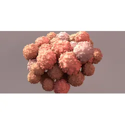 A three-dimensional digital rendering of a dense cellular spheroid, representing a complex biological cell model.