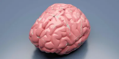 A pink ceramic brain with blue cracks on a gray background