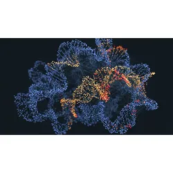 3D network visualization of human genome variant impact predictions, with blue nodes representing neutral single-nucleotide variants and amber-to-red nodes marking high-impact regions, connected by chromatin contact lines.