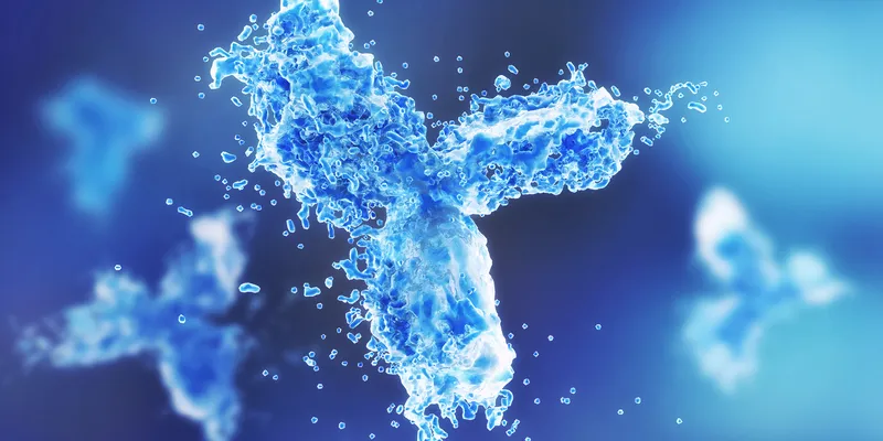 A 3D representation of an antibody.