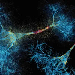 A blue neuron with myelin sheath on a black background