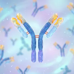 Illustration of antibodies related to the Antibody Developability Consortium