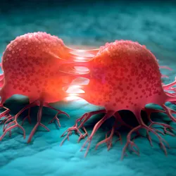 Two pink cancer cells dividing on a blue background