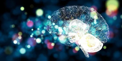 Digital illustration of a human brain composed of glowing neural connections, surrounded by colorful, blurred lights against a dark blue background.