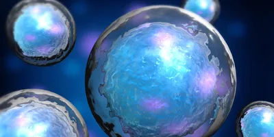 Illustration of multiple glowing blue and purple spherical cells against a dark blue background.