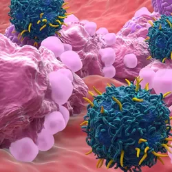 cellular display 