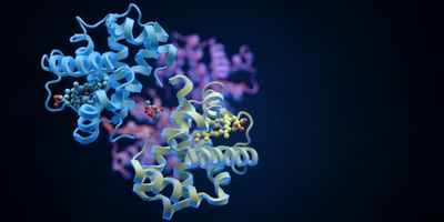 3D molecular illustration of protein structures in blue, yellow, and purple, with small molecules bound to their surfaces against a dark background.
