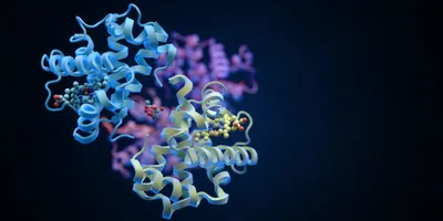 3D molecular illustration of protein structures in blue, yellow, and purple, with small molecules bound to their surfaces against a dark background.