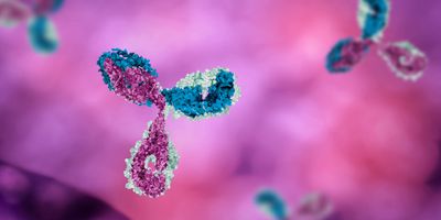3D illustration of a Y-shaped antibody with pink and blue molecular structures against a blurred pink and purple background.