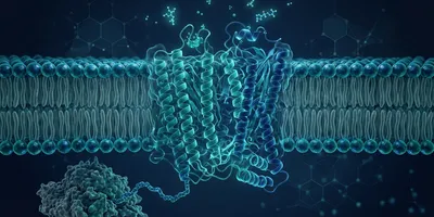 Scientific illustration of co-translational membrane protein insertion into a lipid bilayer by a ribosome, with ligand binding sites and AI structural overlay representing native MS and structural biology drug discovery research.