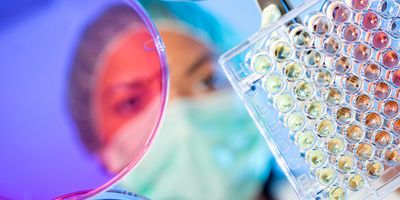 Researcher examining a multiwell plate alongside cell culture dishes in a laboratory.