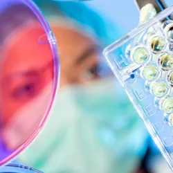 Researcher examining a multiwell plate alongside cell culture dishes in a laboratory.