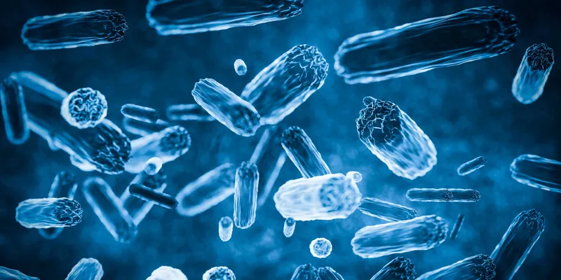 A microscopic image of blue-colored bacteria
