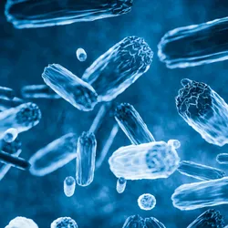 A microscopic image of blue-colored bacteria