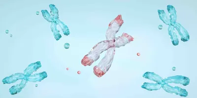 A chromosome with a deletion is shown on a blue background
