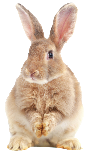 ‍Professor Ernest Starling at the University College London coined the word “hormone” in 1905.  