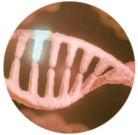 ‍Reproductive biologist Glenn Braunstein codeveloped the antibodies specific to hCG and its subunits at the National Institutes of Health. 