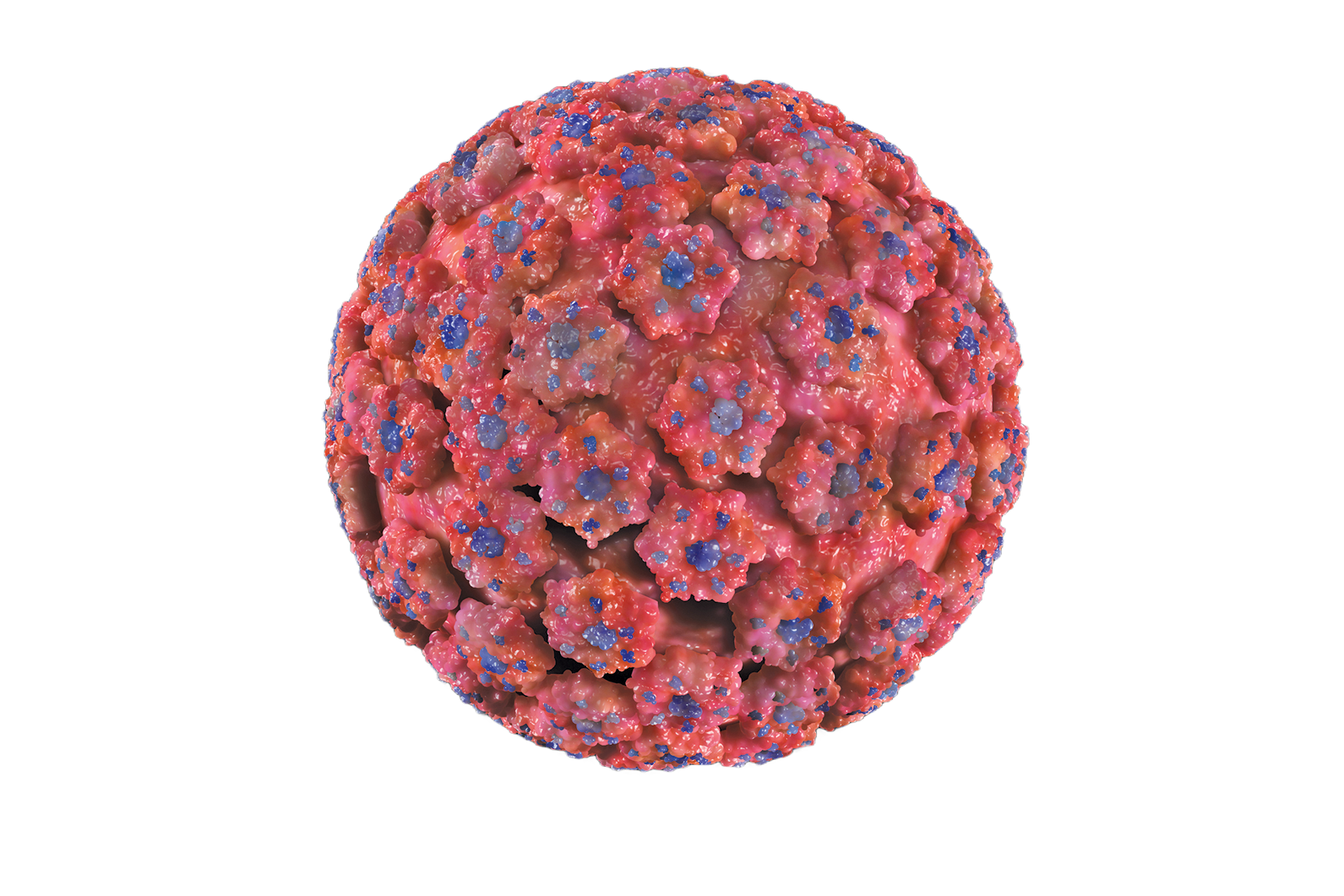 The Aschheim-Zondek-Haus was home to a women’s clinic and a laboratory that developed the first laboratory pregnancy test in 1927. 