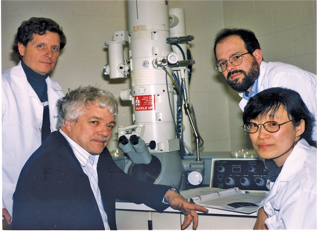 ‍The Hogben test indicated pregnancy if a female Xenopus frog laid eggs within 12 hours after injection with a women’s urine.  