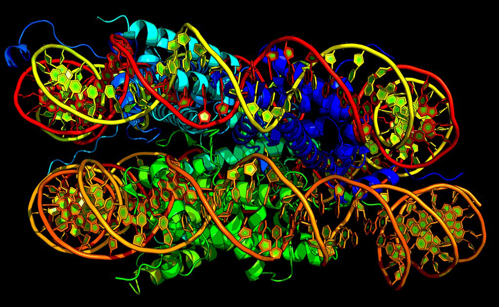 ChIP can be used to study the epigenome and genome during health and disease.