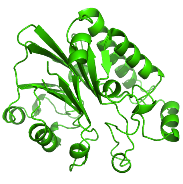 Using exonucleases (shown in this structure) to digest DNA brought higher resolution to ChIP-seq.