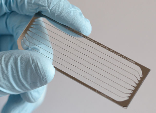 Next generation sequencing allowed ChIP to assay the entire genome.